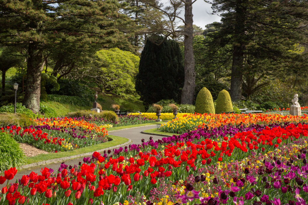 Frühling in Wellington